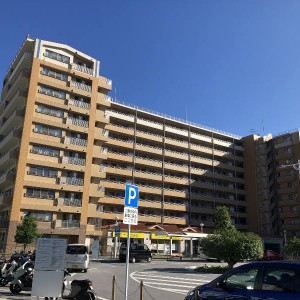 IMG_4394_800x600